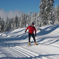 cross country skiing